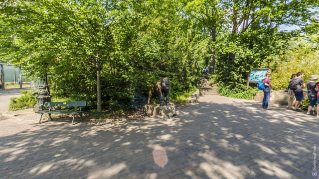 Aviary with gorillas
