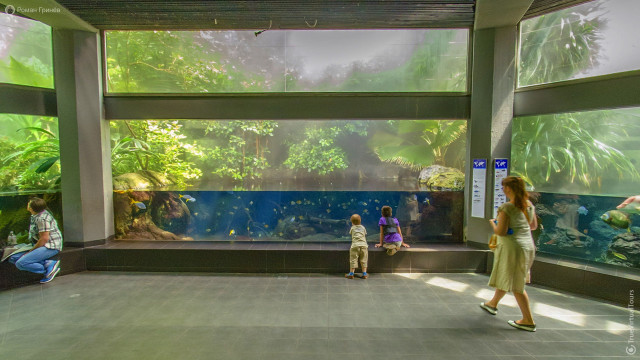 Aquariums with large fish, Berlin Zoo