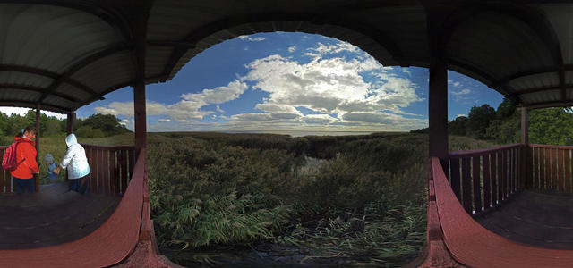 On the shore of the Curonian Lagoon