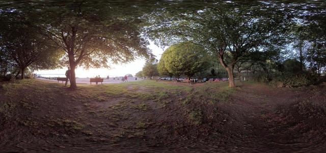 Under the trees in the Golden Gardens Park