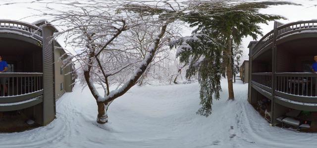 Federal Way, snow after the storm. February. Shot on Rylo 360 camera