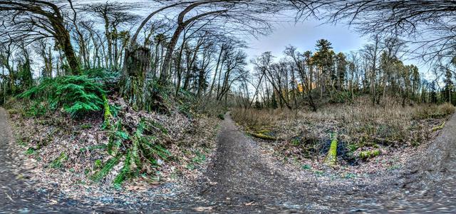 Hiking route in Dash Point State Park