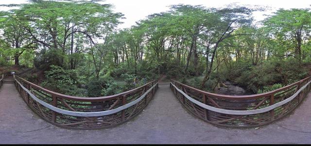 Bridge over the creek in Des Moines Park