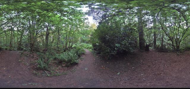 Park in Des Moines deep in the forest