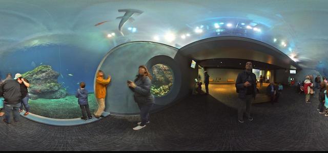 Aleta S2C 360 camera | Aviary | Zoo