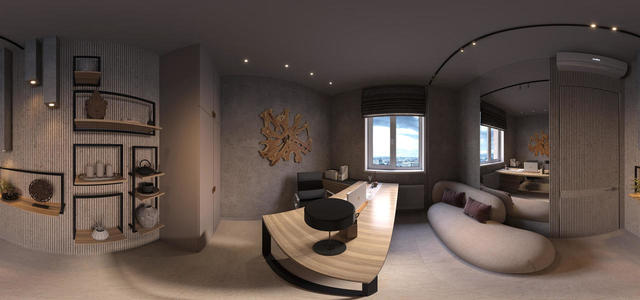 Director's office panorama
