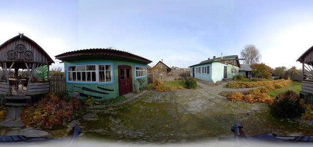 Back yard