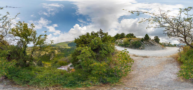 Road from the bushes