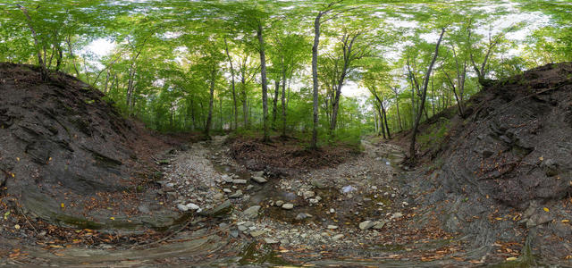 The shallow stream