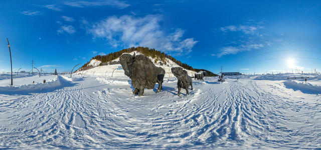 The primitive bison