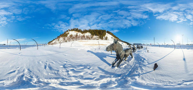 Pleistocene horse