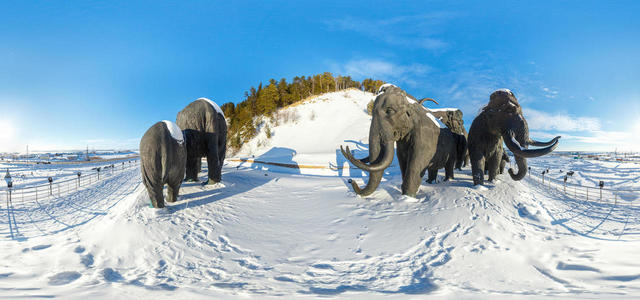 Woolly Mammoth
