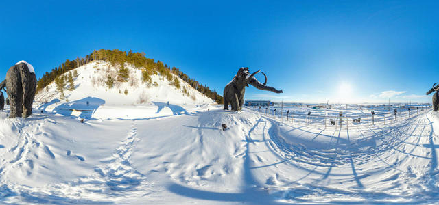 Woolly Mammoth