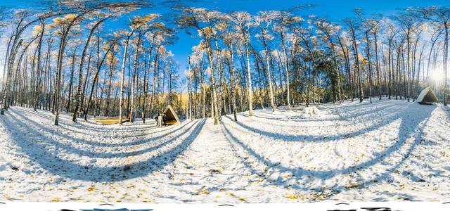 Birch Grove - VisitAlmaty
