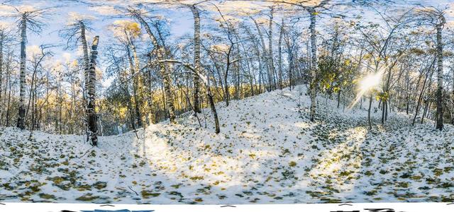 Birch Grove-4
