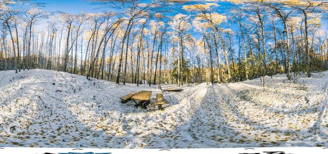 Birch Grove-2