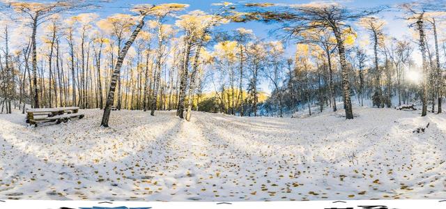 Birch Grove-3