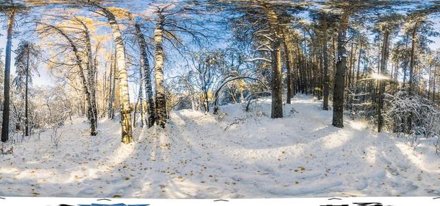 Birch Grove-7