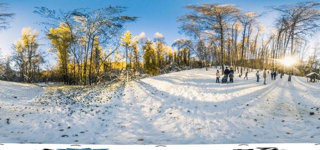 Birch Grove-11
