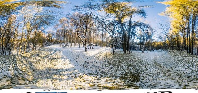 Birch Grove-12