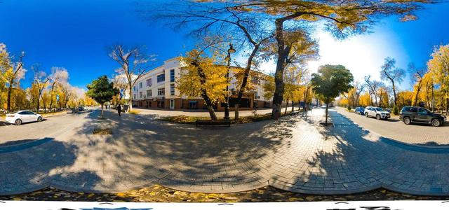 Panfilov Street (Almaty)-13
