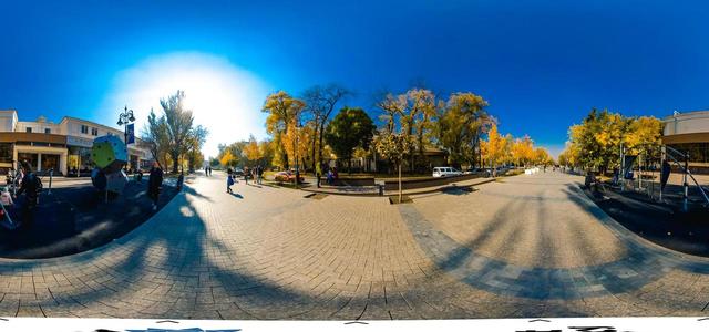 Panfilov Street (Almaty)-18