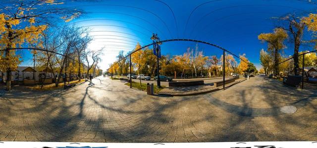 Panfilov Street (Almaty)-16