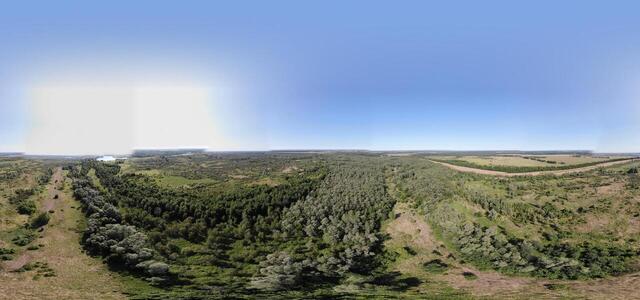 DJI 0532