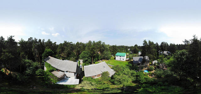 DJI FC2103 | Квадрокоптер / Дрон | tree