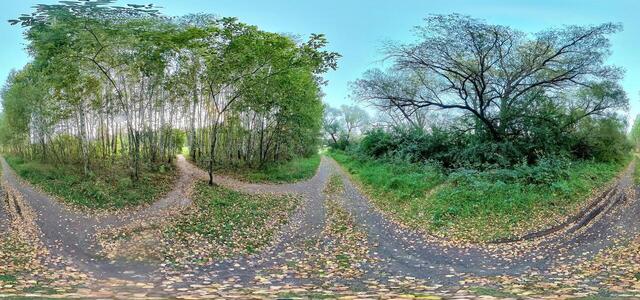 IMG 20230908 184611 00 merged