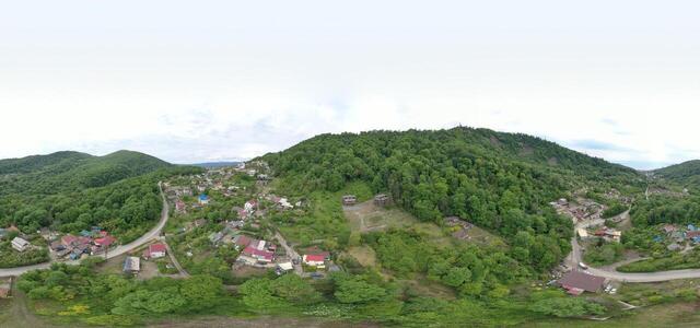 DJI 0306