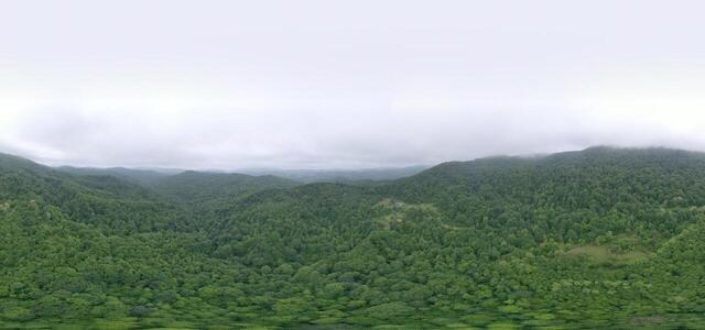 DJI 0830