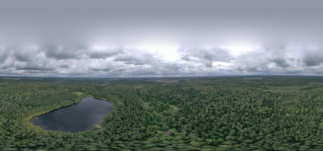 DJI 0487