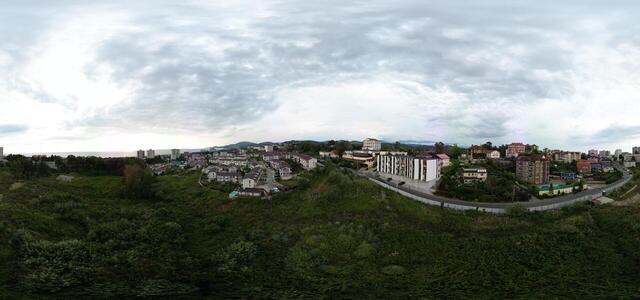 DJI 0116