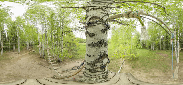 View of the rope park from above