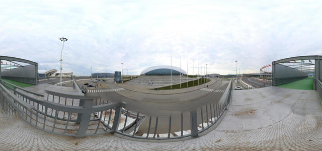 Stadium Puck