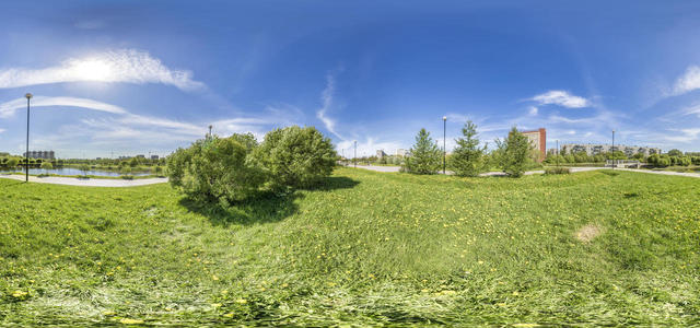 Apple orchard