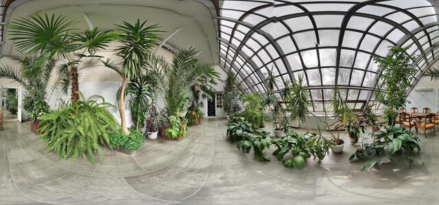 PXL 20240324 105740456.PHOTOSPHERE