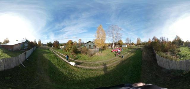 Novki village, Melenkovsky district