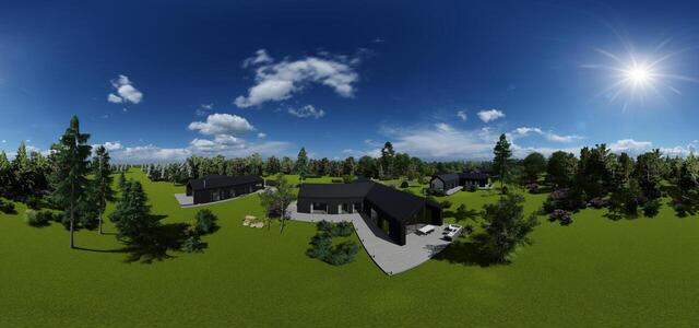 4 View of the house