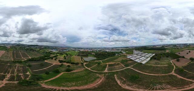 DJI 0437
