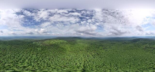 DJI 20250613114142 0625 D