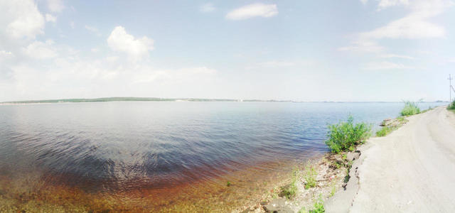 06
