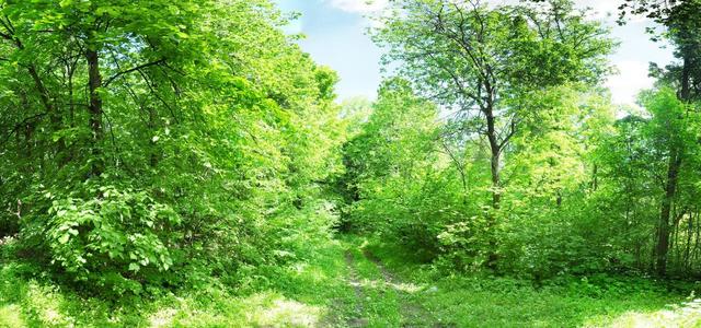 360° panorama