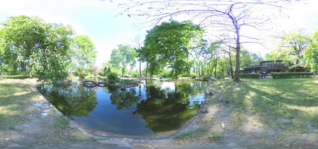 Pond