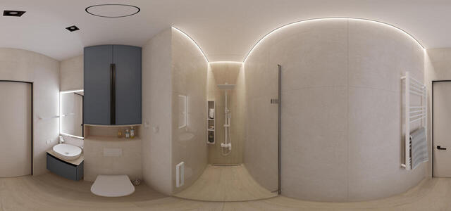 shower room (evening)