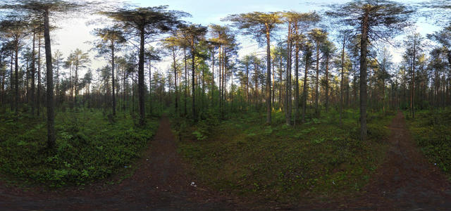 Kadui