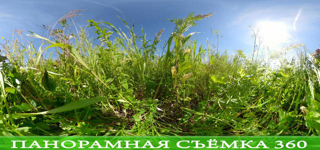 Окружение