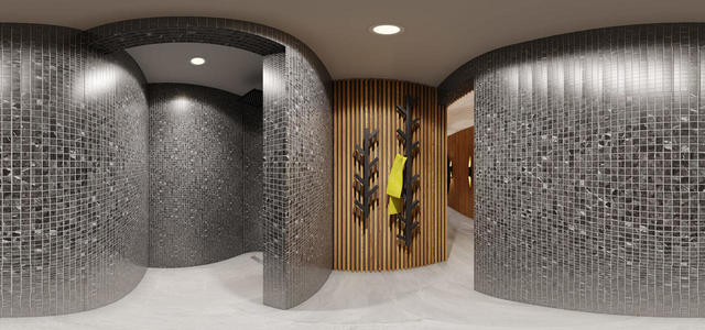 Sauna, shower08