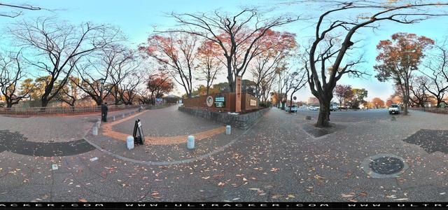 Aleta S2C 360 camera - park, daylight